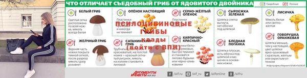 тгк Богородск