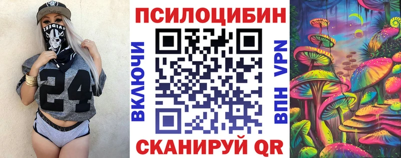 Купить закладки  Мглин  Галлюциногенные грибы мицелий 